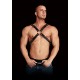 Ouch! Adonis High Halter - Harness 
