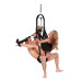 Whipsmart - Bondage Pleasure Swing