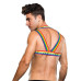 Envy - Pride Harness - S/M Envy - Pride Harness - S/M