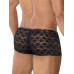 L4CE C4M - Trunk - Blondebokser L4CE C4M - Trunk - Blondebokser