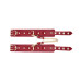BDSM Deluxe sett med 5 deler og veske - Red