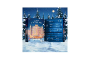 Satisfyer Deluxe Adventskalender 