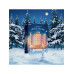 Satisfyer Deluxe Adventskalender 